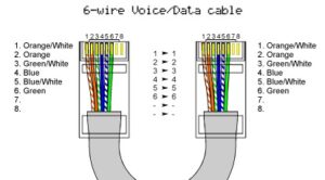 Network Cable